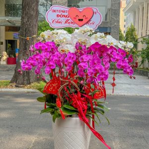 Phúc Lộc Song Hỷ
