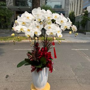 Ngọc Tinh Vượng Khí