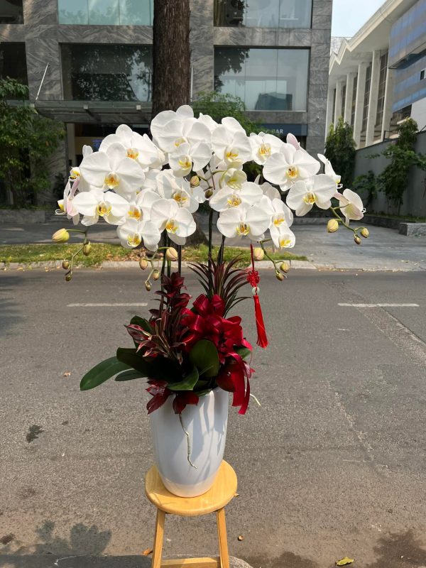 Ngọc Tinh Vượng Khí