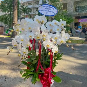 Bạch Ngọc Trường Xuân