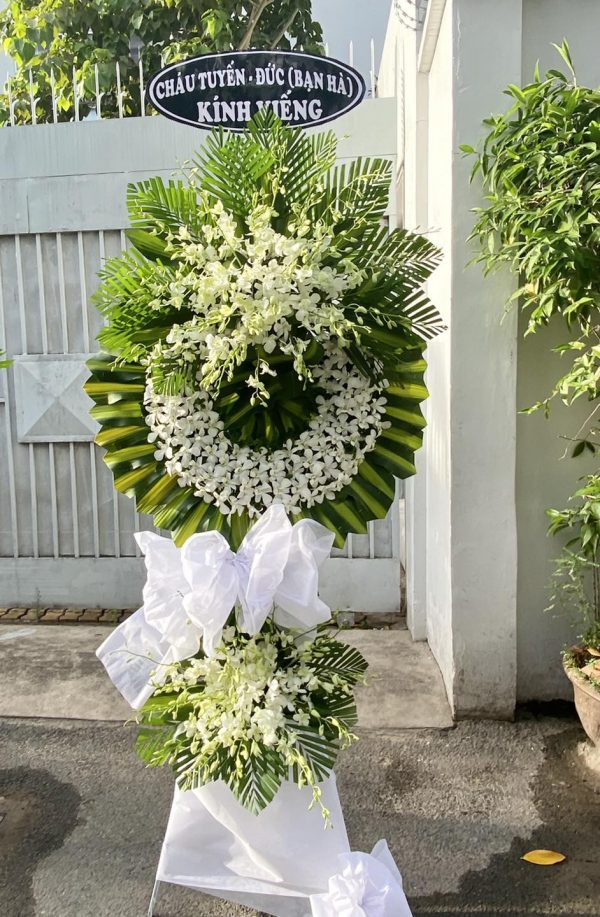 Hoa Kính Viếng Hồi Ức Dịu Dàng