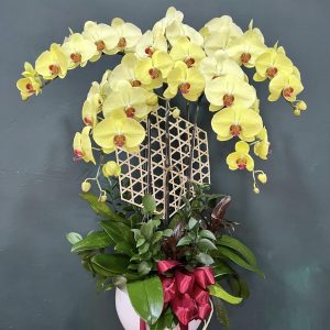 Vạn Lộc Hân Hoan