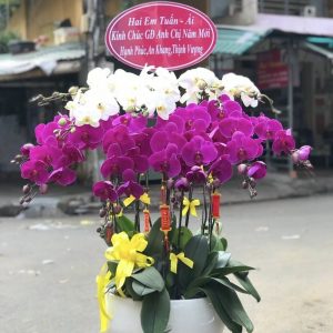 Vạn Phúc An Khang