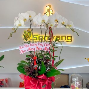 Phú Quý Đón Xuân