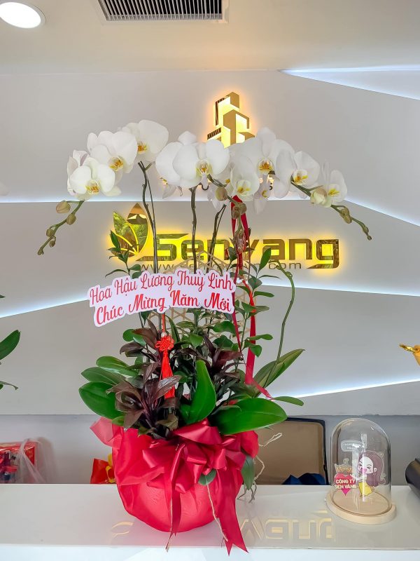 Phú Quý Đón Xuân