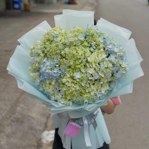 Bó Hoa Mây Xanh Cẩm Tú