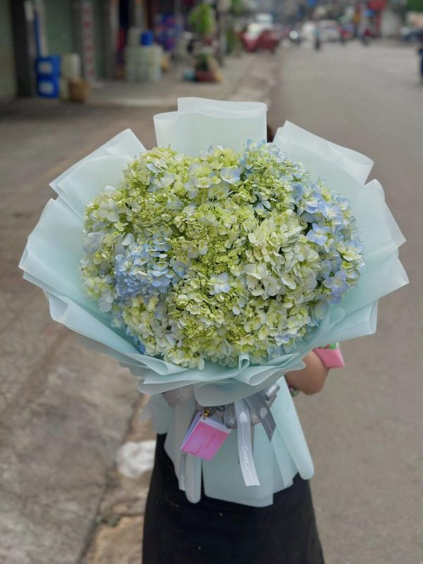 Bó Hoa Mây Xanh Cẩm Tú