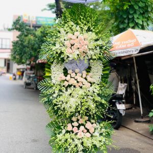 Hồi Âm Tĩnh Lặng