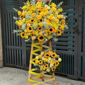 Hoa Khai Trương - Vàng Như Ý