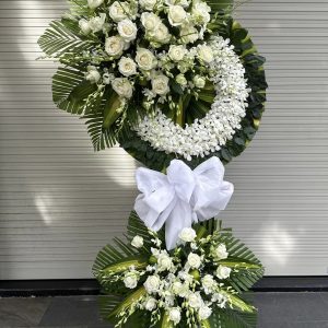 Hồi Hướng Thanh Nhẹ