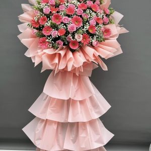 Hoa Khai Trương - HỒNG ÁNH BAN MAI