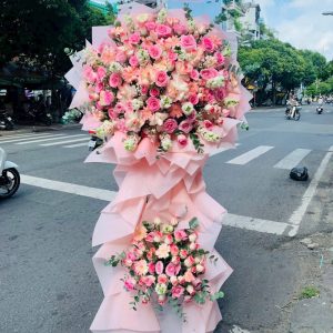 HOA KHAI TRƯƠNG - HỒNG PHÁT RẠNG NGỜI