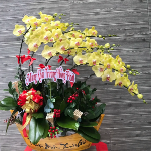 Hoàng Kim Vượng Phát