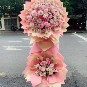 Hoa Khai Trương - Thiên Sắc Dịu Dàng