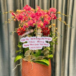 Hồng Ân Tri Thức