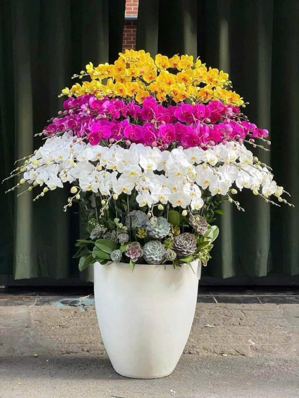 Phú Quý Vượng Mãn