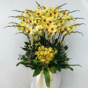 Lan Hồ Điệp - Kim Vượng Hưng Vinh