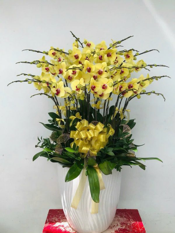 Kim Vượng Hưng Vinh
