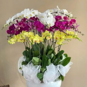 Phúc Lộc Vẹn Toàn