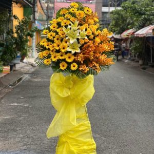 Hoa Khai Trương - Rạng Rỡ Phát Tài