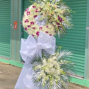 Hồi Hướng An Lành