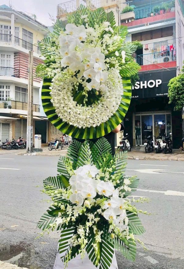 Tĩnh Lặng Vĩnh Hằng
