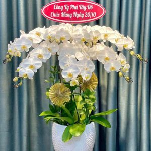 Tỏa Sáng Kiêu Sa
