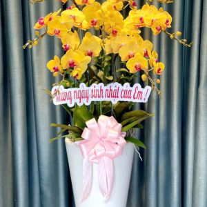 Kim Sắc Vạn Niên