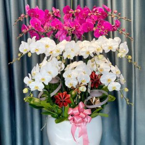 Thịnh Vượng Trường Tồn