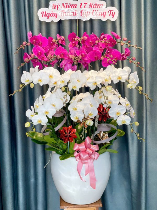 Thịnh Vượng Trường Tồn