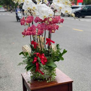 Hồng Ngọc Tài Vượng