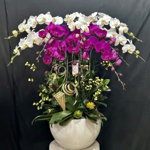 Lan Hồ Điệp - Ngọc Lan Song Hỷ