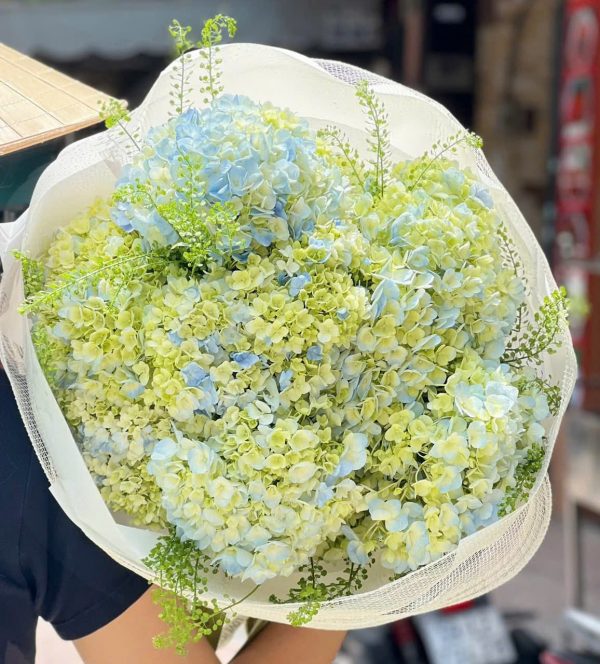 Bó Hoa Mộng Mơ