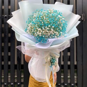 Bó Hoa Mây Trắng Bầu Trời Xanh