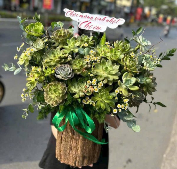 Giỏ Hoa Sống Xanh Mạnh Mẽ