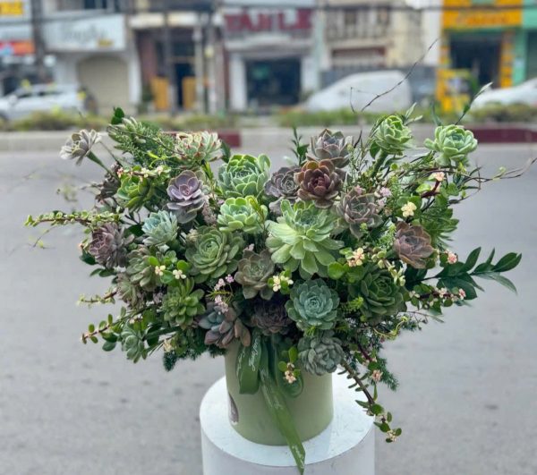 Giỏ Hoa Bền Vững Tựa Đá