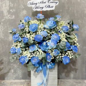 Giỏ Hoa Khởi Đầu Thịnh Vượng