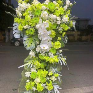 Hoa Khai Trương - Hương Sớm Bình An