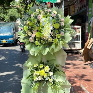 Hoa Khai Trương - Thanh Âm Khởi Sắc