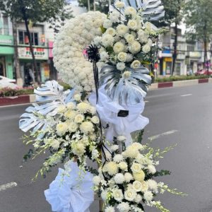 Trắng Tinh Tế