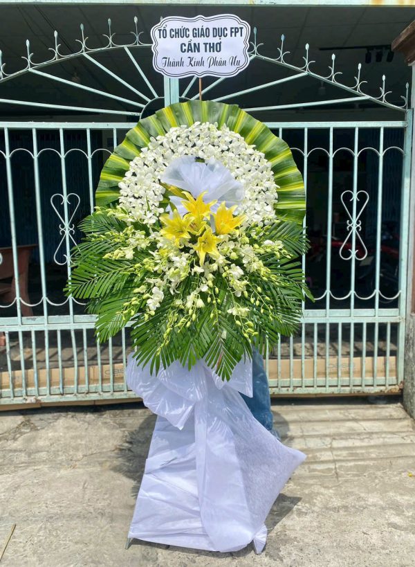 Hoa Kính Viếng Nắng Nhẹ Trời Xa