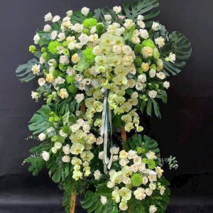Hoa Khai Trương - Ngọc Lâm
