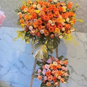 Hoa Khai Trương - Hừng Đông Thịnh Vượng