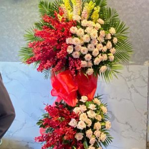 Hoa Khai Trương - Tài Lộc Vươn Cao