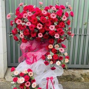 Hoa Khai Trương Hồng Nhật Rực Rỡ