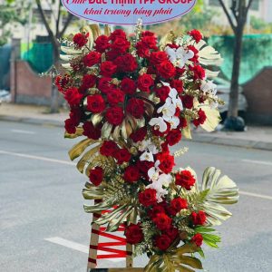 Hoa Khai Trương - Hồng Kim Khai Phát