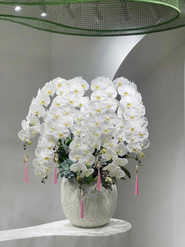 Tinh Hoa Trường Cửu