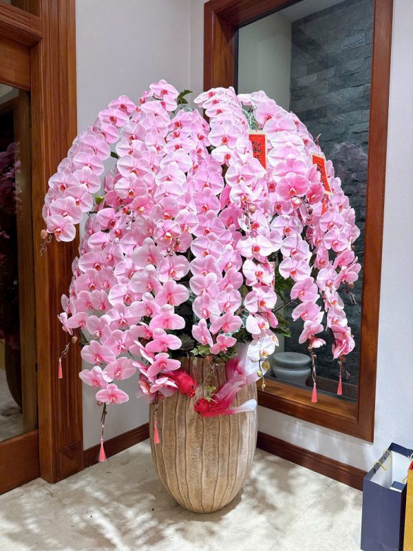 Lan Hồ Điệp - Hồng Vinh Như Ý