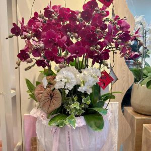 Hồng Vận Cát Tường