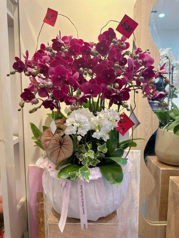 Hồng Vận Cát Tường